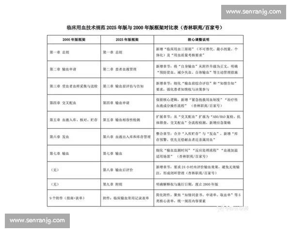 《比赛服补丁的创新与挑战分析：如何提升竞技体验与公平性》